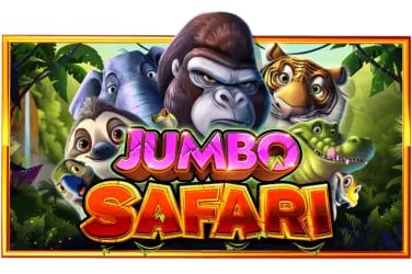333btd